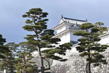 니혼마쓰의 비밀