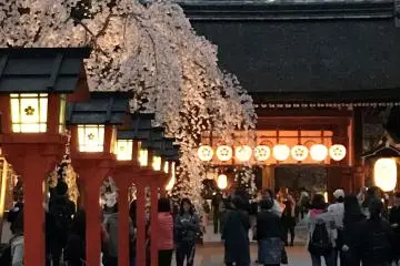 Approach to the main sanctuary. This is where the procession will take place. 