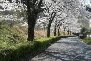 Green Slow Mobility (Gurisuro)