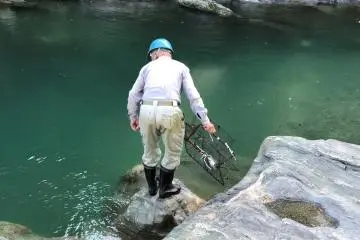 Locals try to catch eel here