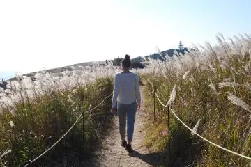 Highlight of the trip: silver grass on Oishi Kogen Highland