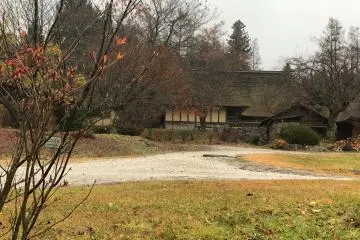 Gallery image