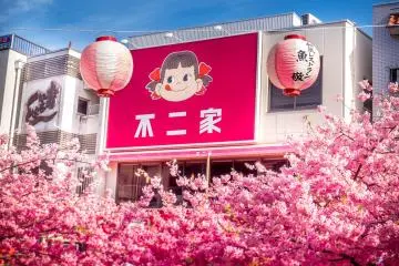 The front of Miura Kaigan Station marks the start of a 15 minute walk to Komatsugaike Park