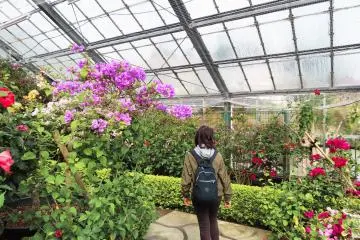 Hakone Gora Park Greenhouse