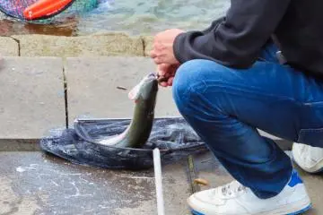 A nice catch at Lake Ashi