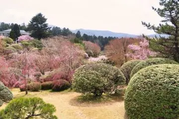 Onshi Hakone Park