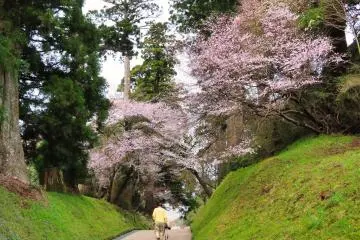 Walkway at Onshi-Hakone Park