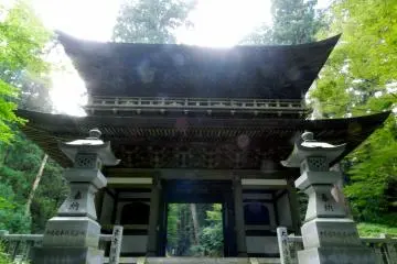 Gallery image