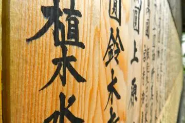 <p>Rows and rows of wooden markers</p>