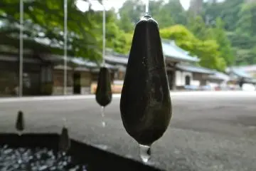 <p>Water drops</p>