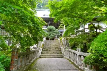 <p>Steps to the main hall</p>
