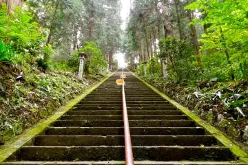 <p>216 steps to the top. I counted.</p>