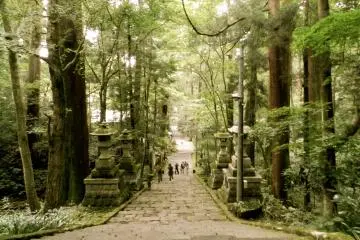 <p>The path out, back to the real world.</p>