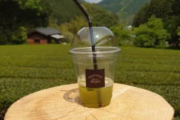 Sipping a (non-alcoholic) Tea Mojito from the Tea Terrace