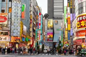 Photo: fernando Monet / Shutterstock.com