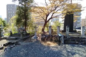 Historical markers or poet writings are common at temples