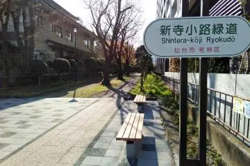 The a path leads through some temples
