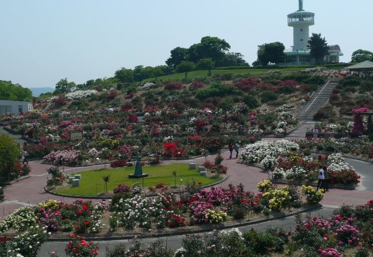 Kanoya Rose Garden