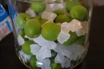 Otaru Umeshu Festival 2026