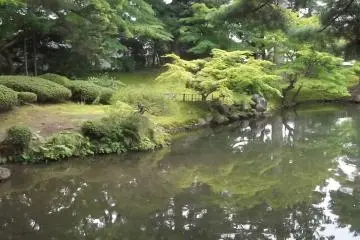 Trees reflected in the water