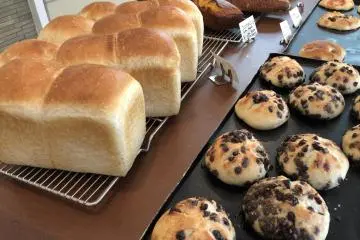 Sink your teeth into these