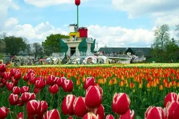 Tonami Tulip Park, Toyama (Photo: <a href="https://commons.wikimedia.org/wiki/File:%E7%A0%BA%E6%B3%A2%E3%81%AE%E3%83%81%E3%83%A5%E3%83%BC%E3%83%AA%E3%83%83%E3%83%97_(Tulip_Festival_in_Tonami)_29_Apr,_2011_-_Panoramio_52075886.jpg" target="_blank" rel="noreferrer noopener nofollow">Hiroaki Kaneko</a> / <a href="https://creativecommons.org/licenses/by-sa/3.0/deed.en" target="_blank" rel="noreferrer noopener nofollow">CC BY-SA 3.0</a>)