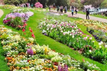 Satoyama Garden Flower Bed