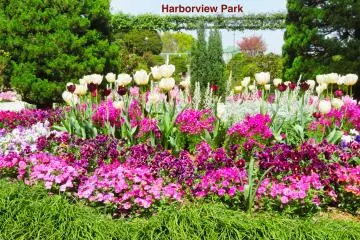 Harbor View Park near the fountain