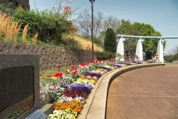 Harbor View Park walkway
