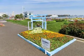 View of Osanbashi pier from Yamashita Park