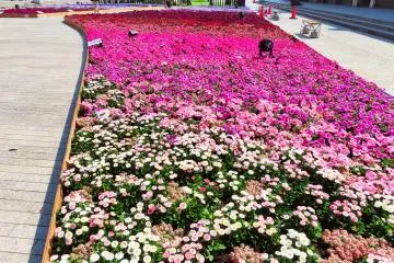 Bright colors at Red Brick Warehouse 