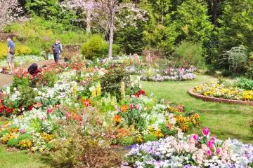 Satoyama Garden Display
