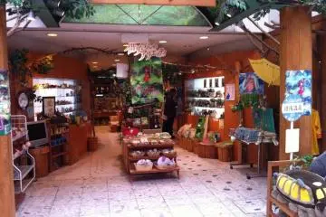 Studio Ghibli store