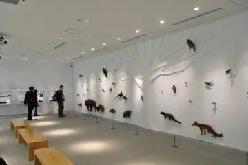 Hachioji City - Museums & Galleries