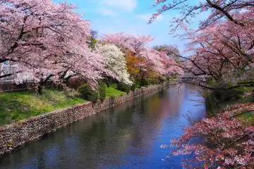 Hamura City - Museums & Galleries [Closed]