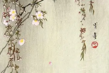 An example of Watanabe Shotei's work - " Two Birds and a Cherry Tree"