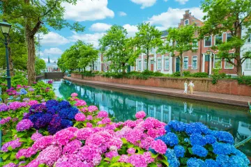 Take a walk along the hydrangea canal (Photo: <a href="https://prtimes.jp/main/html/rd/p/000000370.000023462.html" target="_blank" rel="noreferrer noopener nofollow">PR Times</a>)