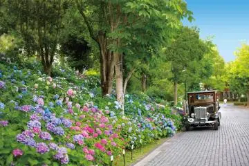 There are thousands of flowers to appreciate (Photo: <a href="https://prtimes.jp/main/html/rd/p/000000370.000023462.html" target="_blank" rel="noreferrer noopener nofollow">PR Times</a>)