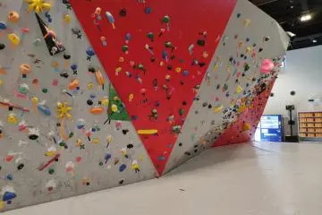 And a more challenging climbing wall