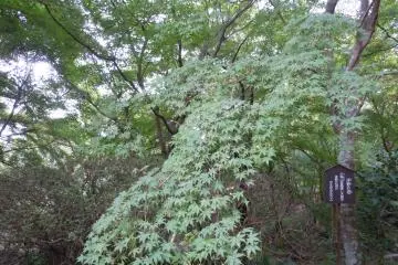 <p>The gardens are beautiful in every season</p>