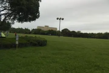The Central area's greenness