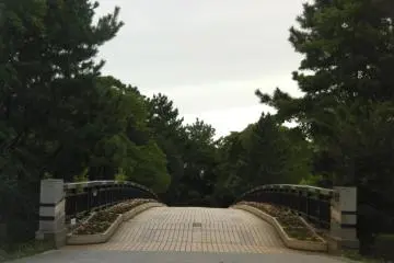 A peaceful walk