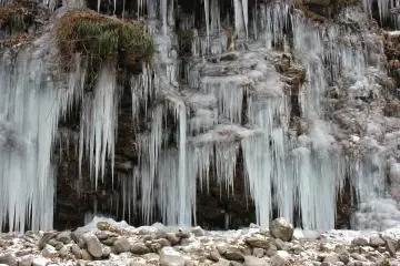 <p>Curtain of icicles</p>