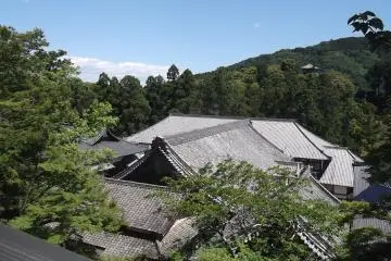 Temple rooftops from above