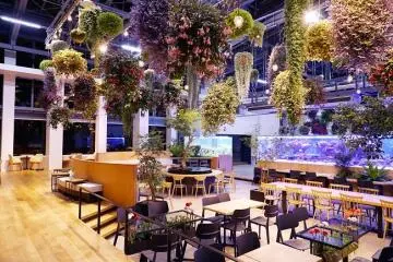 Illuminated flower chandeliers will decorate the venue