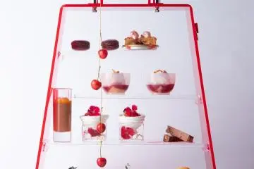 Beautiful presentation