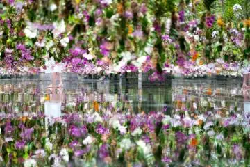 Photo:  Floating Flower Garden  – teamLab