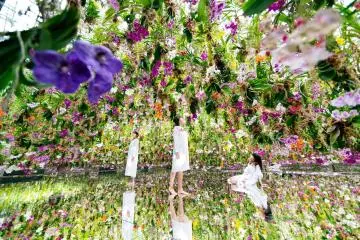 Photo:  Floating Flower Garden – teamLab
