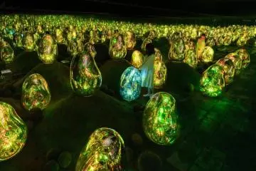 Photo:  Moss Garden of Resonation Microcosms – teamLab