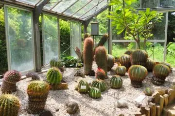 Yokohama Children's Botanical Park Green House